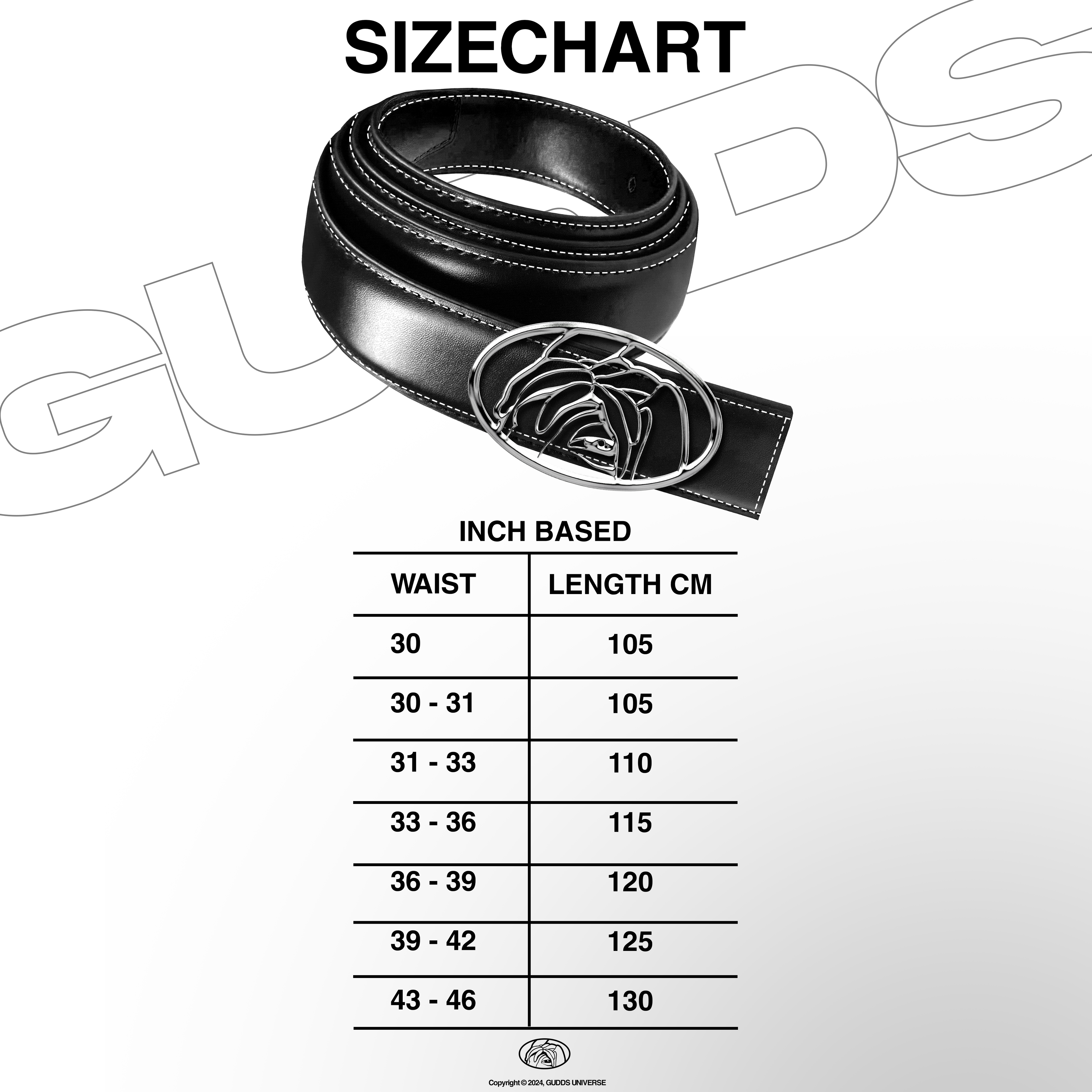 "STAINLESS STEEL OVAL" BELT (LIMITED EDITION)