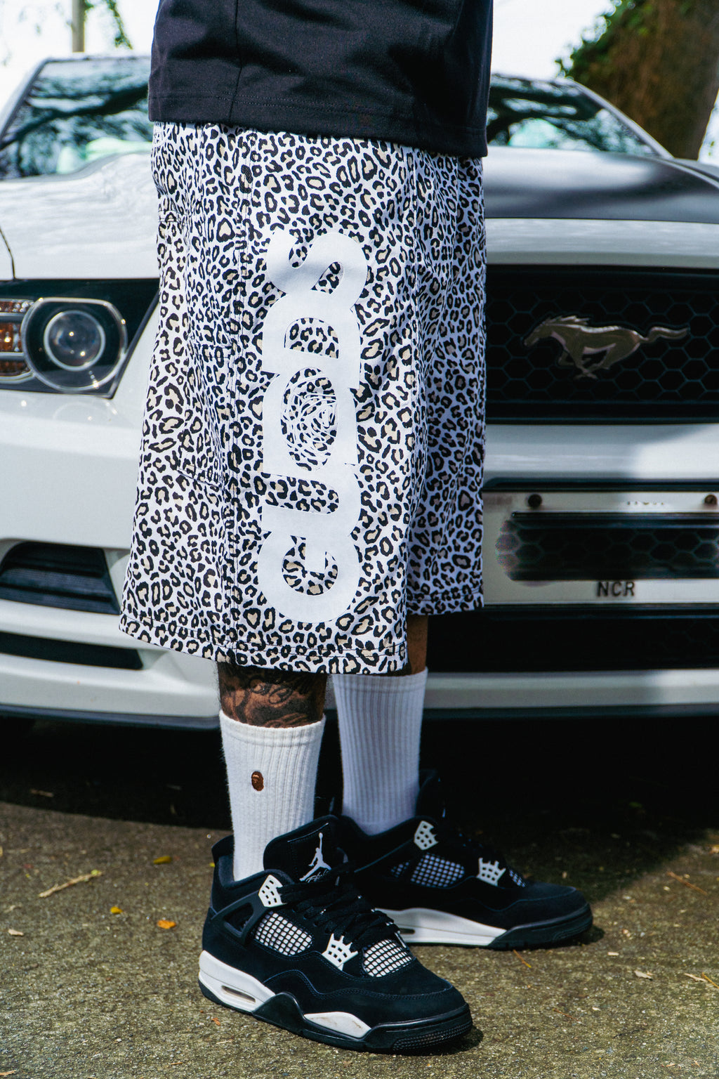 “SAFARI” JORTS COLLECTION