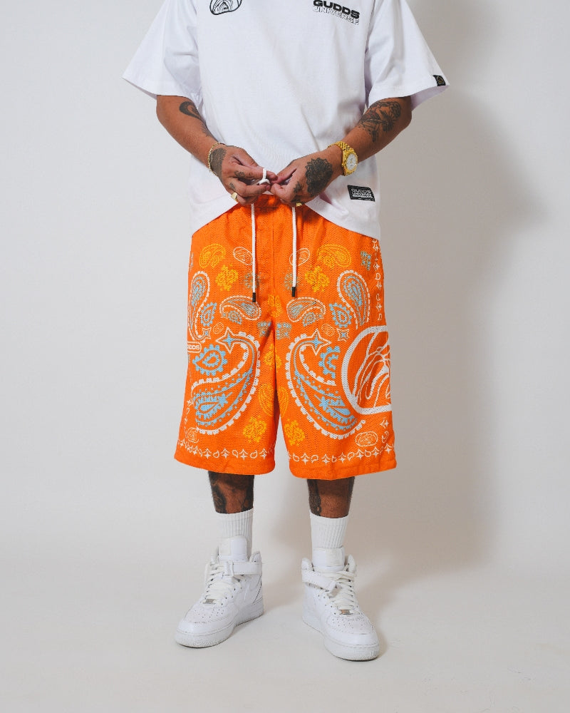 PAISLEY MESH SHORTS