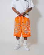 PAISLEY MESH SHORTS