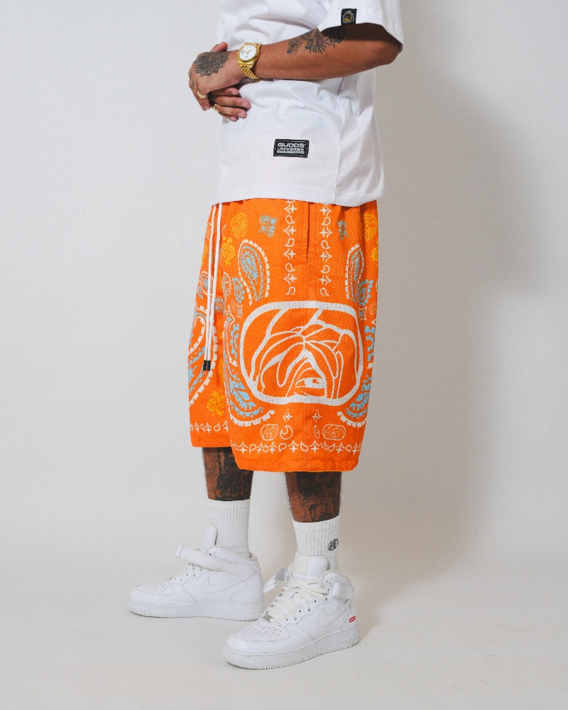PAISLEY MESH SHORTS