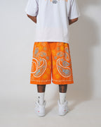 PAISLEY MESH SHORTS