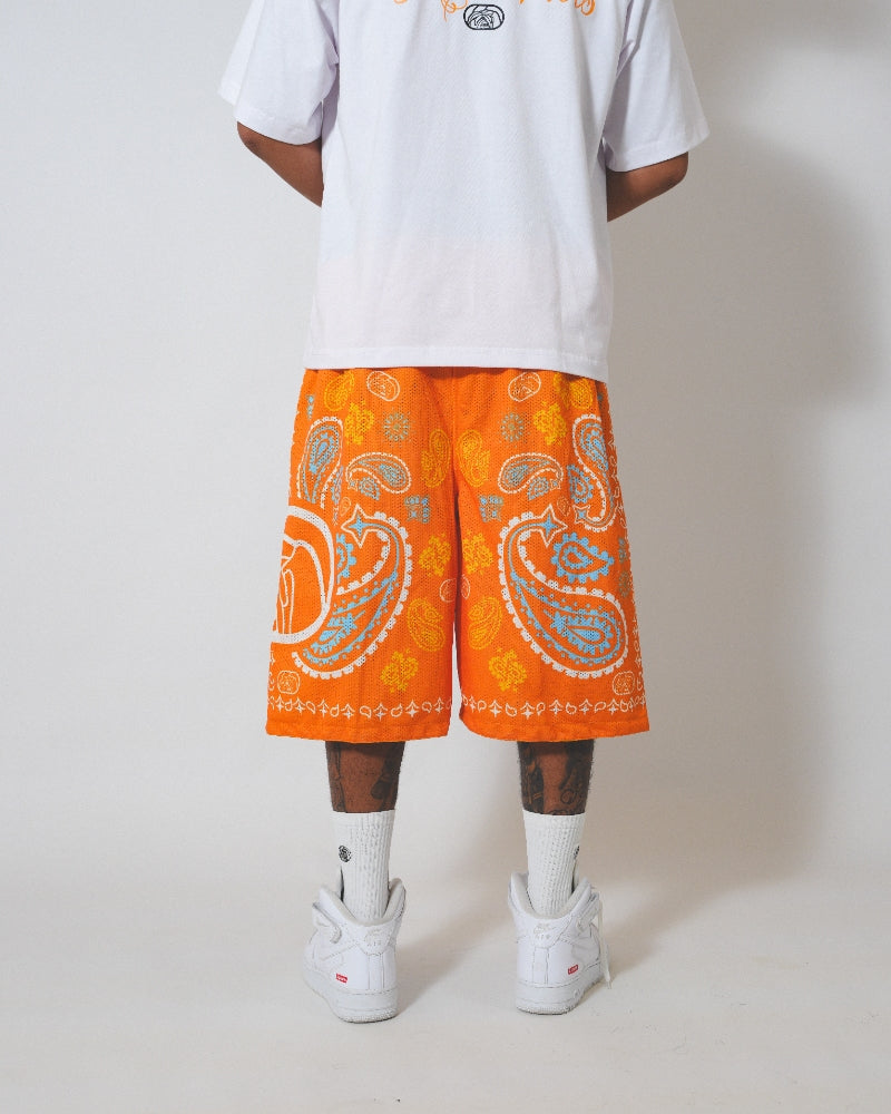 PAISLEY MESH SHORTS